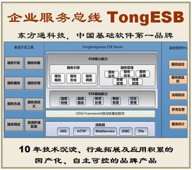 東方通tongesb 自主化企業服務總線，誠邀客戶、伙伴與渠道合作共贏