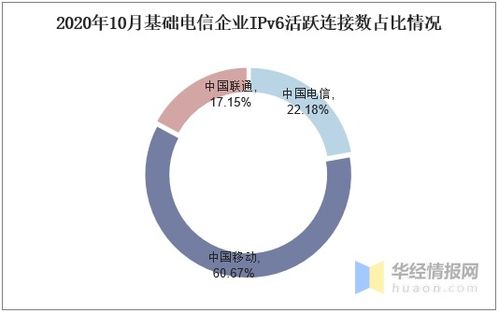 2020年IPv6行業(yè)發(fā)展現(xiàn)狀及競爭格局分析——數(shù)據(jù)處理和存儲支持服務展望